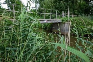 20231013-ws-dommelen-brug
