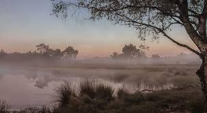 202508-owd-heide