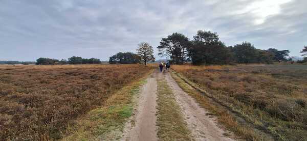 20251214-dt-goirle-regteheide 20251214-dt-goirle-regteheide