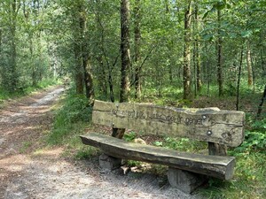 20260607-vt-spoordonkse-trailwalk-bankje 20260607-vt-spoordonkse-trailwalk-bankje