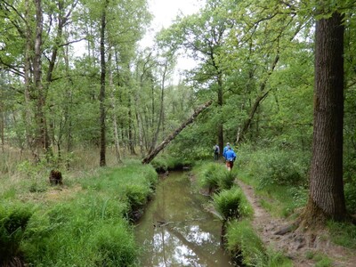 20260607-vt-spoordonkse-trailwalk-rosepstroompje