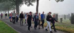 blz-11-hilvarenbeek-2