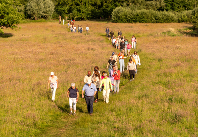 blz-12-ra-20250521185307-2025-05-olat-avond4dgse-350dpi