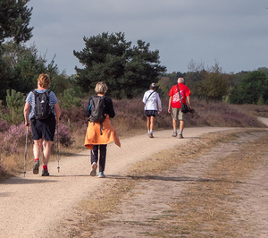 blz-13-2025-08-olat-wandeldagen-3-350dpi