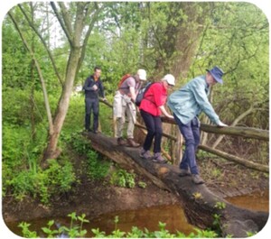 blz-5-ws-boombrug blz-5-ws-boombrug