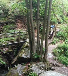 blz-7-cr-img20250525111415-350-6cm