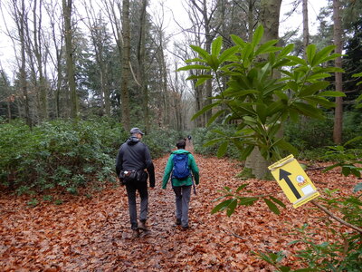 20251214_DT_Goirle_AvB