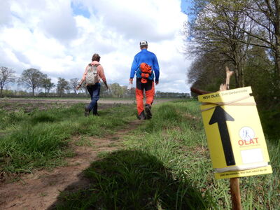 Wandelaars volgen de pijlen vanuit Oss
