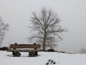 Uitrusten op de Kampina