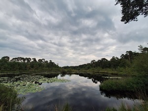 dscn9247-1