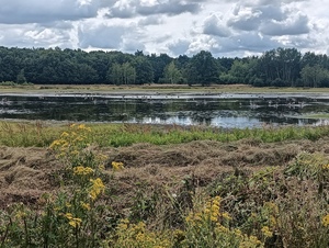 20261018_DWT_Lieshout-Ven